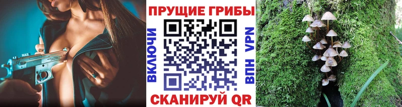 Галлюциногенные грибы Psilocybine cubensis  Купить закладки  Приволжск 